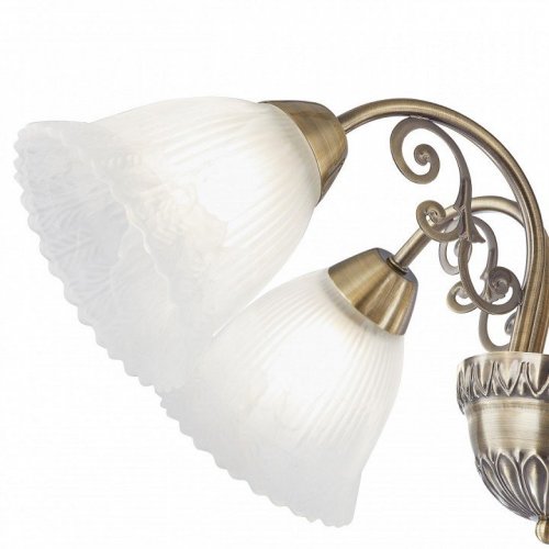 Подвесная люстра Arte Milano Amalfi-8544 338544/5 AB Подвесная люстра Arte Milano Amalfi-8544 338544/5 AB