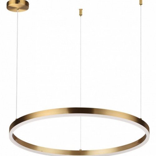 Подвесной светодиодный светильник Lumion Echo 6531/50L