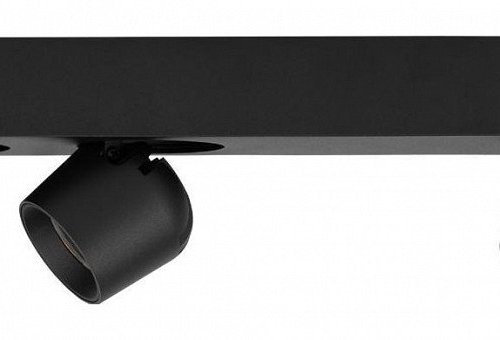 Спот Loft IT Quiet 10320/3 Black