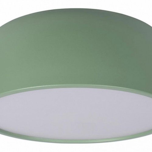 Потолочный светильник Loft IT Axel 10201/350 Green