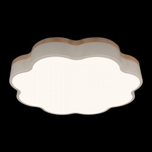 Потолочный светильник Axel 10225/36 White