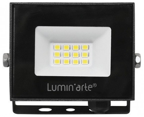 Настенно-потолочный прожектор Luminarte LFL LFL-10W/06