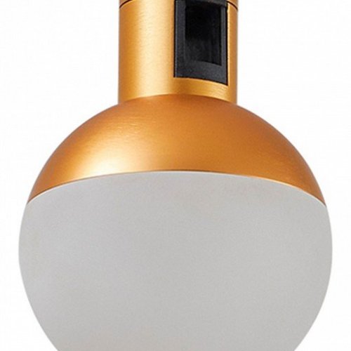 Трековый светильник ST Luce Farm ST815.206.05