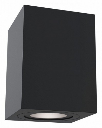 Потолочный светильник Maytoni Alfa C017CL-01B Потолочный светильник Maytoni Alfa C017CL-01B