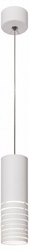 Подвесной светильник Эра PL22 WH Б0058507
