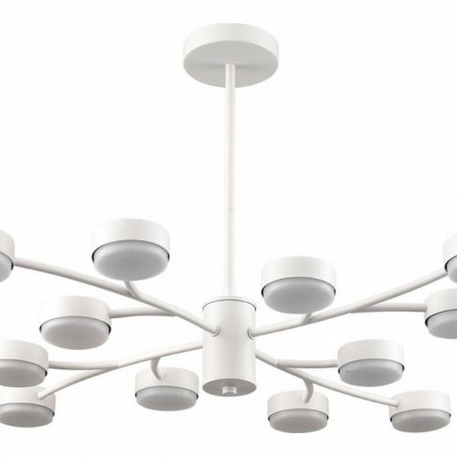 Потолочная люстра Lumion Torina 8265/12