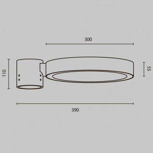 Уличный консольный светильник Maytoni Dion O472H-L50GF3K