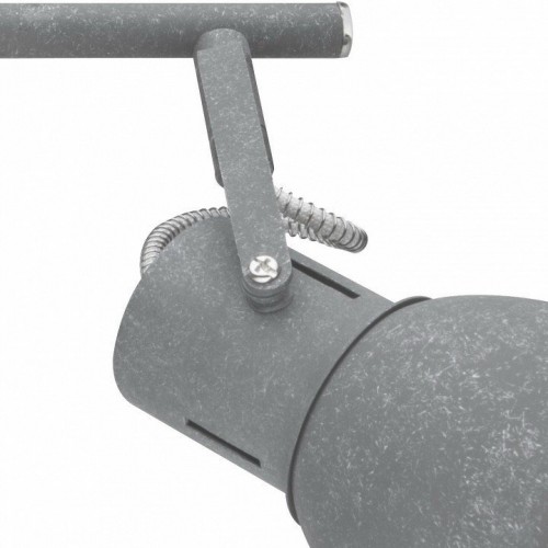 Спот Arte Lamp A1677PL-2GY