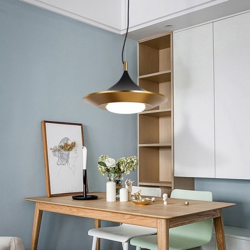 Подвесной светильник ImperiumLoft RASK01