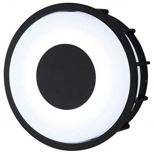 Настенный светильник уличный LArte Luce Telma L78056.31