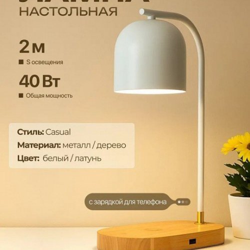 Интерьерная настольная лампа Zortes Desklight ZRS.1066.02