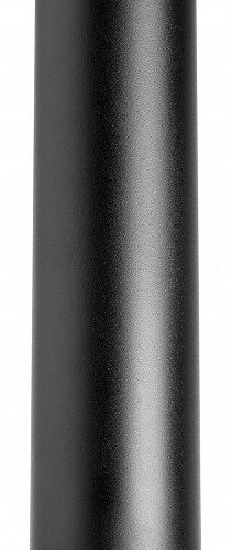 Точечный светильник Lightstar Rullo R49730