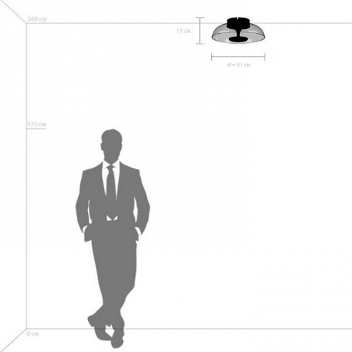 Накладной светильник Lightstar Celesta 809200 Накладной светильник Lightstar Celesta 809200