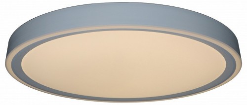 Потолочный светильник Zortes Bella ZRS.1200.09