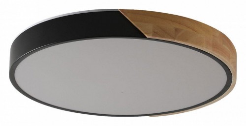 Потолочный светильник Zortes Alberro ZRS.01287.48