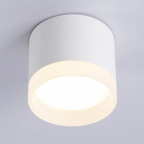 Накладной светильник Ambrella Light TN TN5365