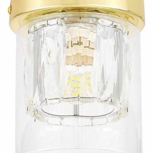 Накладной светильник Lampit DENI TC 2020-1 GD