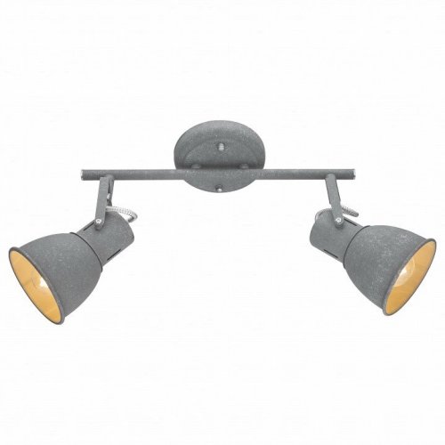 Спот Arte Lamp A1677PL-2GY Спот Arte Lamp A1677PL-2GY