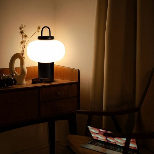 Интерьерная настольная лампа Freya Take FR6175TL-L10B