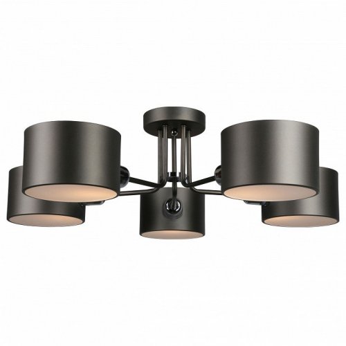 Потолочная люстра Omnilux Lisera OML-54507-05