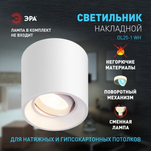 Точечный светильник OL25-1 WH
