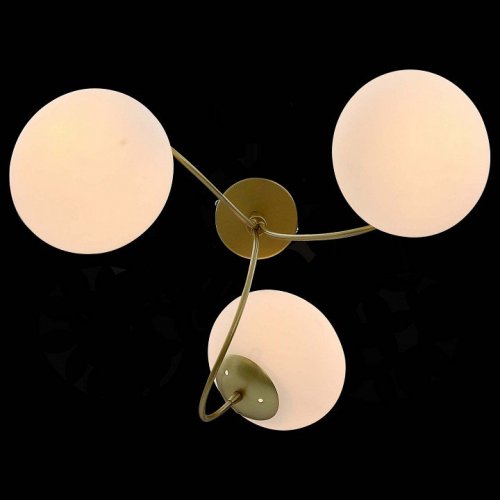 Потолочная люстра ST Luce Acini SL717.202.03