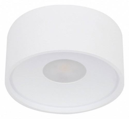 Накладной светильник Wertmark WTA WTA.O01.007.30.07 Накладной светильник Wertmark WTA WTA.O01.007.30.07