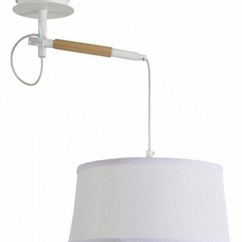 Подвесной светильник F-Promo Eureka 3005-1P Подвесной светильник F-Promo Eureka 3005-1P