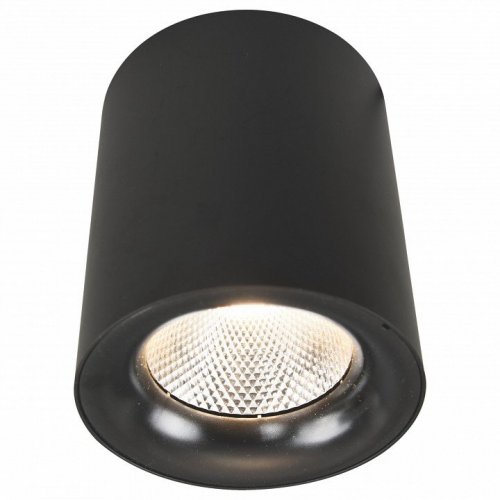 Потолочный светодиодный светильник Arte Lamp Facile A5118PL-1BK