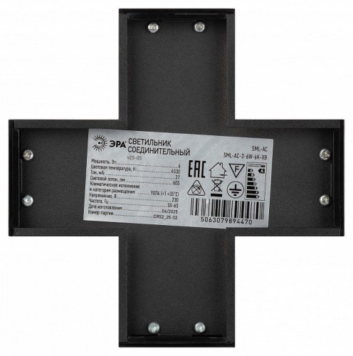 Настенно-потолочный светильник ЭРА SML-AC-3-6W-6K-XB