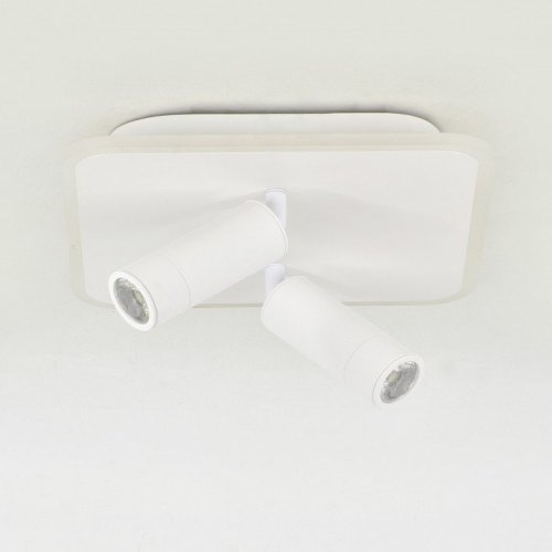 Накладной светильник Escada  20024SMA/01LED WH