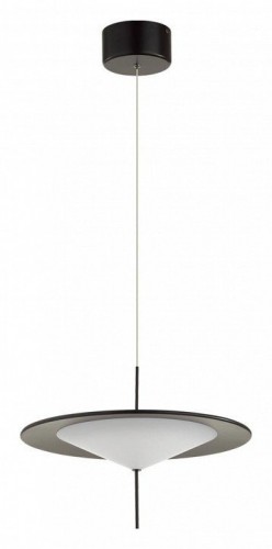 Подвесной светильник Odeon Light Steka 5012/16L