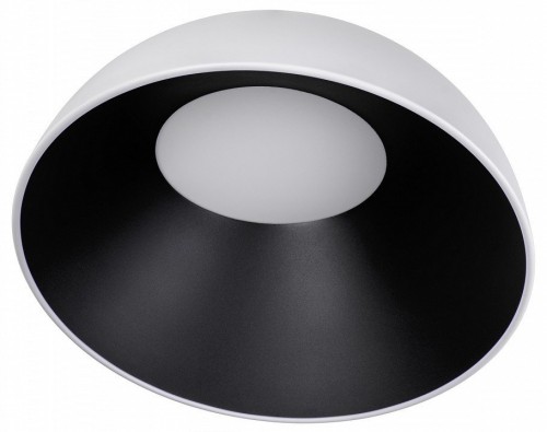 Потолочный светильник Loft IT Egg 10197/500 WB