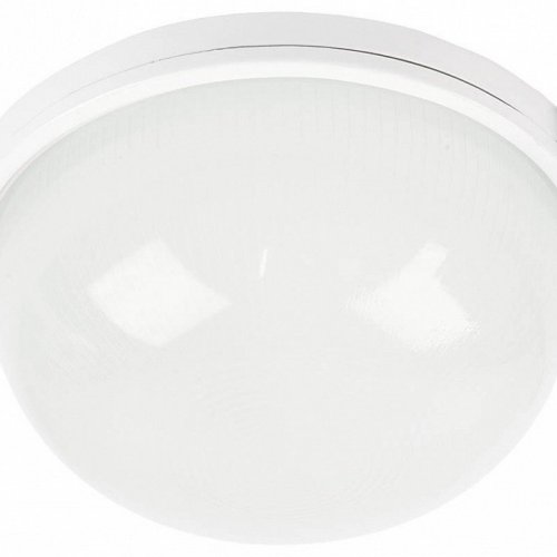 Настенно-потолочный светильник Feron НБП 03-100-001 53173