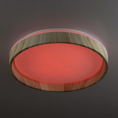 Накладной светильник Citilux ENZO CL753352G Накладной светильник Citilux ENZO CL753352G