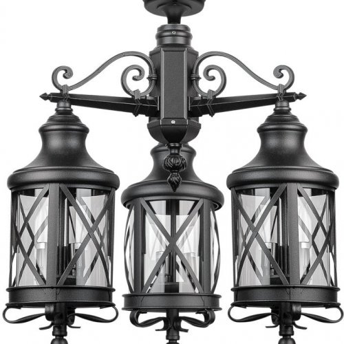 Потолочный светильник уличный Oasis Light LUCERNA 84870A/3/02 Bl