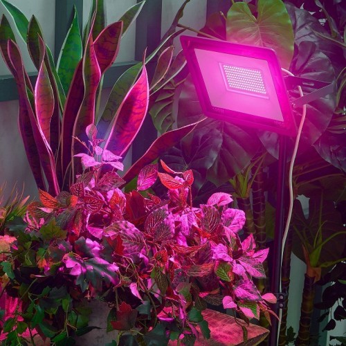 Настенно-потолочный прожектор для растений Uniel ULF-P42 UL-00010385 Настенно-потолочный прожектор для растений Uniel ULF-P42 UL-00010385