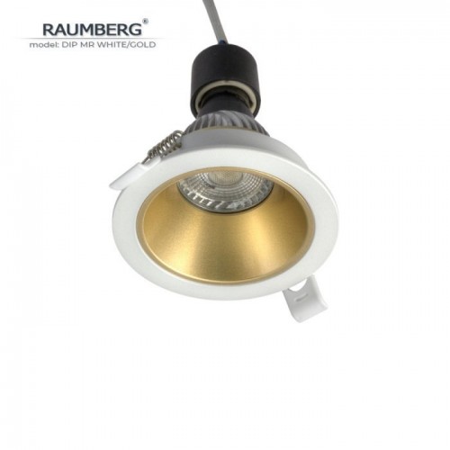 Точечный светильник Raumberg DipMRWh/Gd