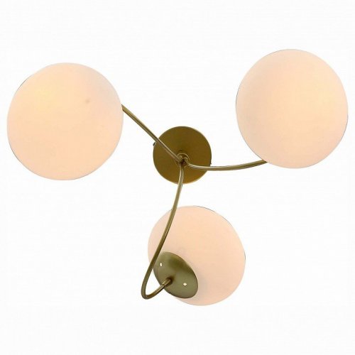 Потолочная люстра ST Luce Acini SL717.202.03