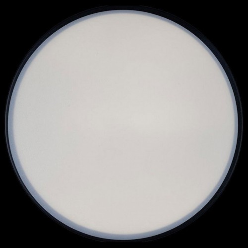 Потолочный светильник Loft IT Axel 10002/12 Black