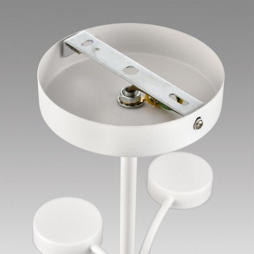 Потолочная люстра Lumion Torina 8265/12