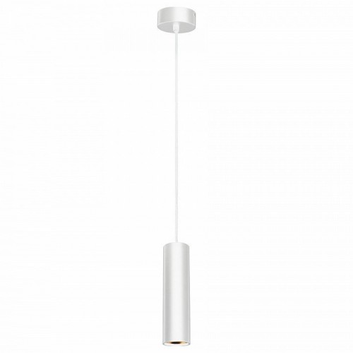 Подвесной светильник ЭРА PL1 GU10 WH 300
