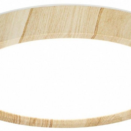 Накладной светильник Citilux Бейсик CL738122N