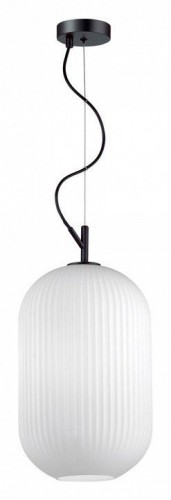 Подвесной светильник Odeon Light Roofi 4752/1