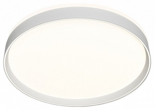 Накладной светодиодный светильник Denkirs DK6510-WH