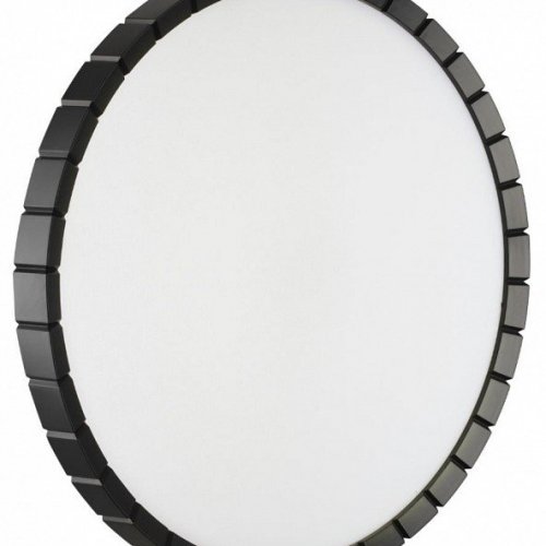 Настенно-потолочный светильник Sonex Atabi Black 7649/DLN