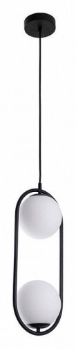Подвесной светильник Arte Lamp Matisse A7745SP-2BK Подвесной светильник Arte Lamp Matisse A7745SP-2BK