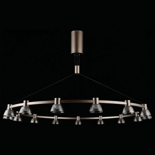 Подвесной светодиодный светильник Aployt Rezeda APL.788.03.15