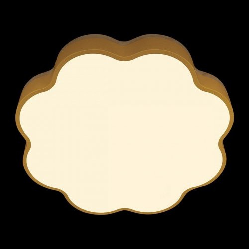 Потолочный светильник Axel 10225/36 Yellow