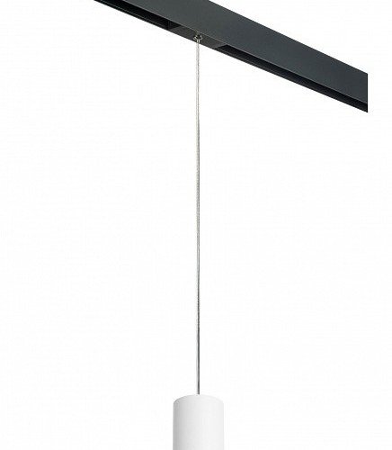 Подвесной светильник Lightstar Rullo PRORP43631